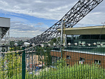 IMG_4150.jpeg